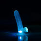 Raw Dildo Realista Nebula Transparente CamToyz